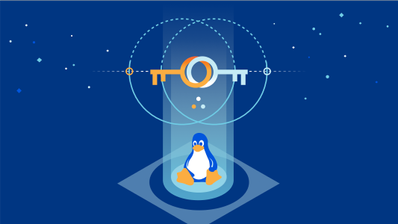 Mascota de Linux, Tux, bajo dos llaves parecidas (Windows y Kubuntu)
