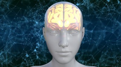Cerebro humano en un muñeco.