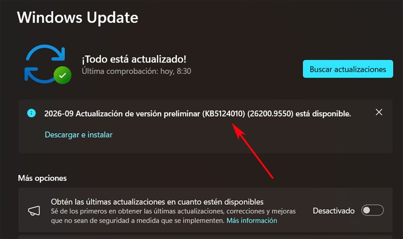 Windows Update con nnueva versión opcional.