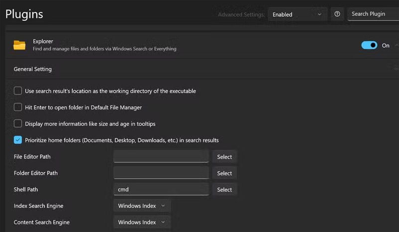 Plugins alternativa buscador Windows.
