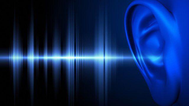 Audio oído