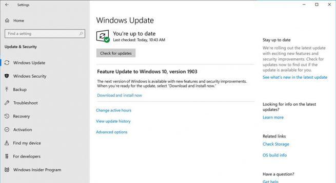 Opcional actualizar Windows 10 May 2019 Update